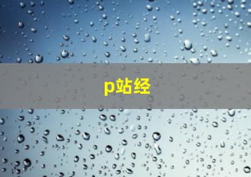 p站经