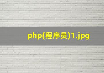 php(程序员)