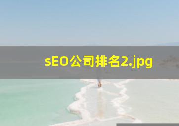 sEO公司排名