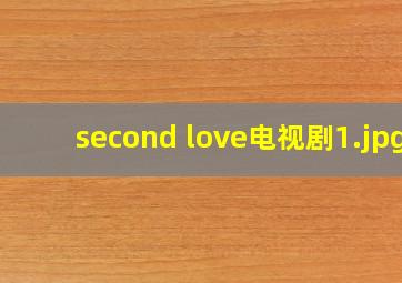 second love电视剧
