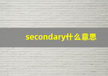 secondary什么意思