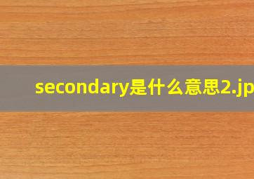 secondary是什么意思