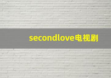 secondlove电视剧