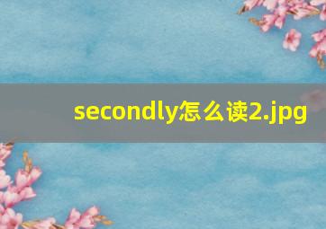 secondly怎么读