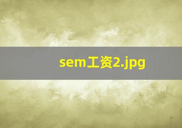 sem工资
