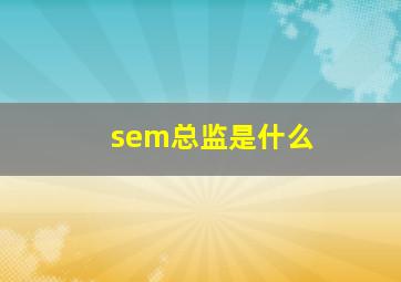 sem总监是什么