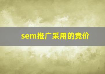 sem推广采用的竞价