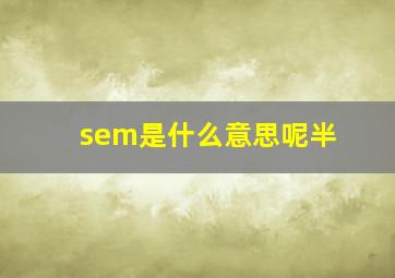 sem是什么意思呢半