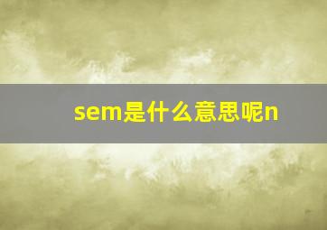 sem是什么意思呢n