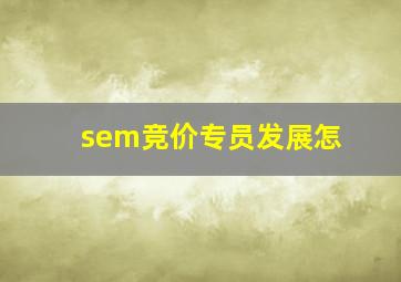 sem竞价专员发展怎