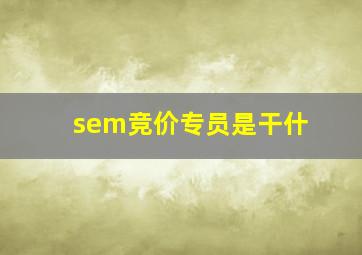 sem竞价专员是干什