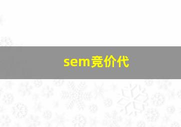 sem竞价代