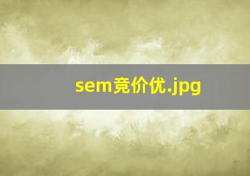 sem竞价优