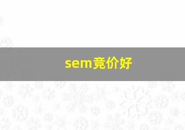 sem竞价好