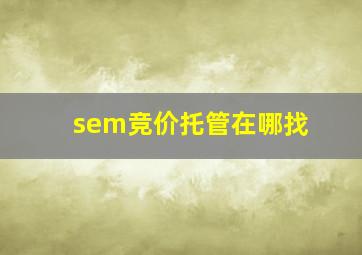 sem竞价托管在哪找