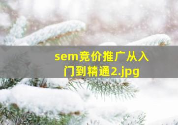 sem竞价推广从入门到精通
