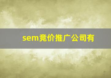 sem竞价推广公司有