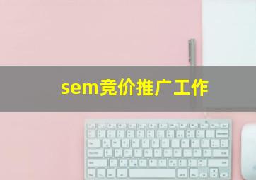 sem竞价推广工作