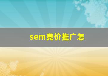sem竞价推广怎