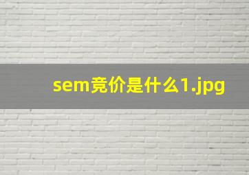 sem竞价是什么