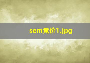 sem竞价