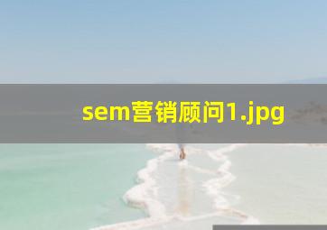 sem营销顾问