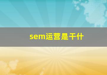 sem运营是干什