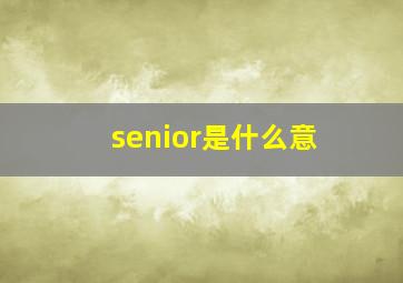 senior是什么意