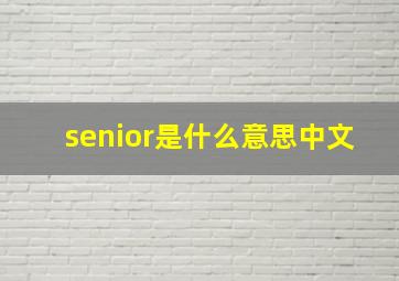 senior是什么意思中文