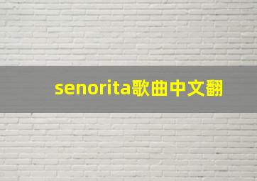 senorita歌曲中文翻