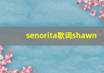 senorita歌词shawn 