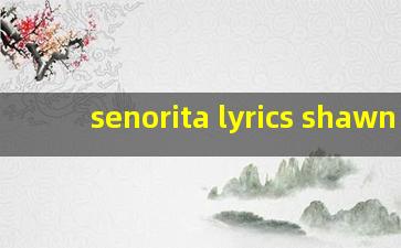 senorita lyrics shawn 