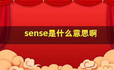 sense是什么意思啊