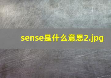 sense是什么意思