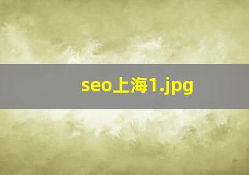 seo上海