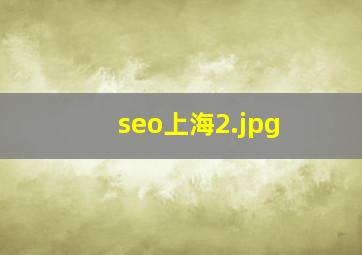 seo上海