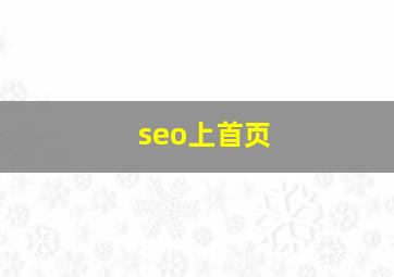 seo上首页