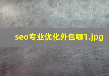 seo专业优化外包哪