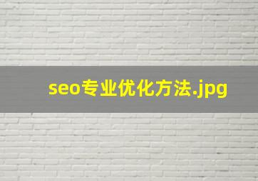 seo专业优化方法