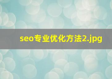 seo专业优化方法