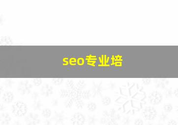 seo专业培