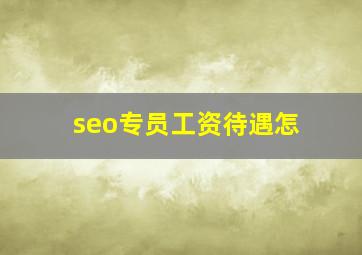 seo专员工资待遇怎