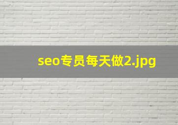 seo专员每天做