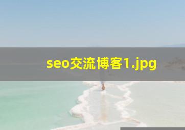 seo交流博客