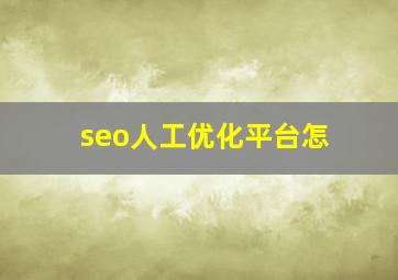seo人工优化平台怎