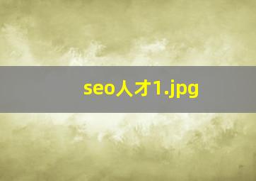 seo人才