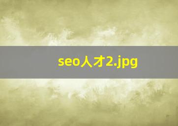 seo人才