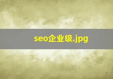 seo企业级