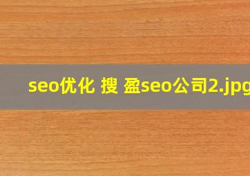 seo优化 搜 盈seo公司