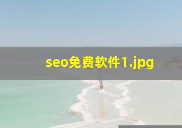 seo免费软件